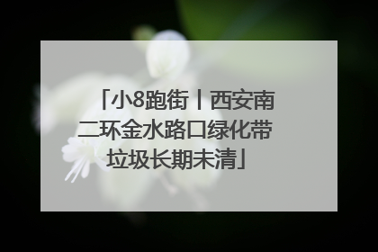小8跑街丨西安南二环金水路口绿化带垃圾长期未清