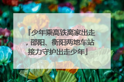 少年乘高铁离家出走，邵阳、衡阳两地车站接力守护出走少年
