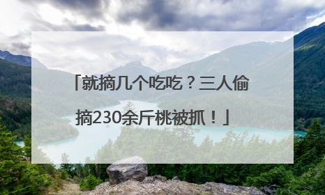 就摘几个吃吃？三人偷摘230余斤桃被抓！