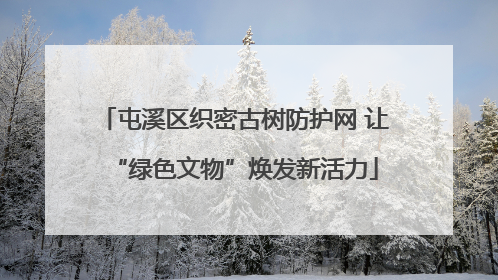 屯溪区织密古树防护网 让“绿色文物”焕发新活力