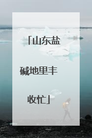 山东盐碱地里丰收忙