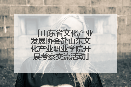 山东省文化产业发展协会赴山东文化产业职业学院开展考察交流活动