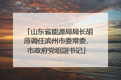 山东省能源局局长胡薄调任滨州市委常委、市政府党组副书记