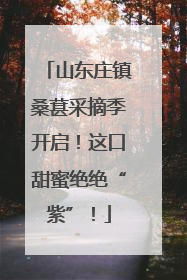 山东庄镇桑葚采摘季开启！这口甜蜜绝绝“紫”！
