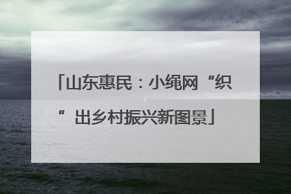 山东惠民：小绳网“织”出乡村振兴新图景