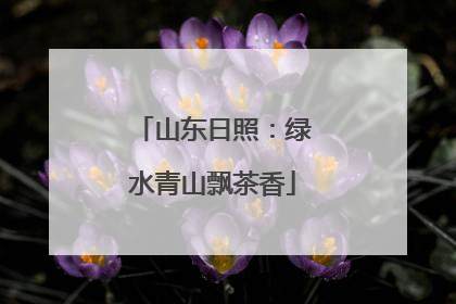 山东日照：绿水青山飘茶香