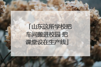 山东这所学校把车间搬进校园 把课堂设在生产线