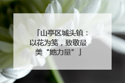 山亭区城头镇：以花为笺，致敬最美“她力量”