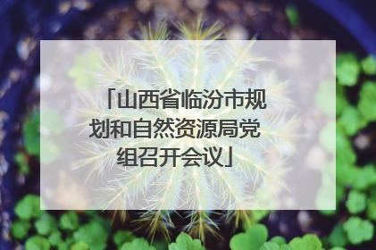 山西省临汾市规划和自然资源局党组召开会议
