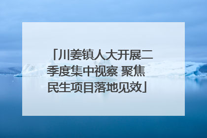 川姜镇人大开展二季度集中视察 聚焦民生项目落地见效