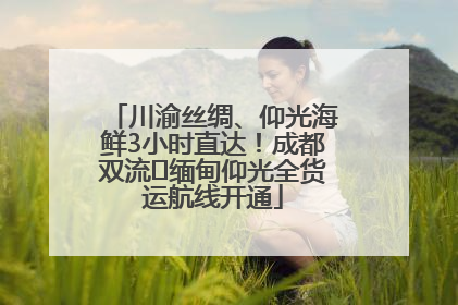 川渝丝绸、仰光海鲜3小时直达！成都双流⇌缅甸仰光全货运航线开通