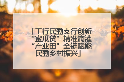 工行民勤支行创新“蜜瓜贷”精准滴灌“产业田”全链赋能民勤乡村振兴