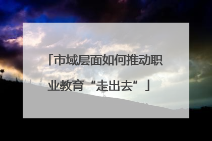 市域层面如何推动职业教育“走出去”