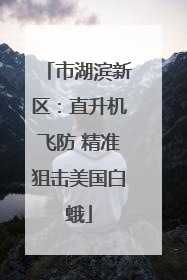 市湖滨新区：直升机飞防 精准狙击美国白蛾