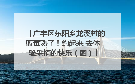 广丰区东阳乡龙溪村的蓝莓熟了！约起来 去体验采摘的快乐（图）