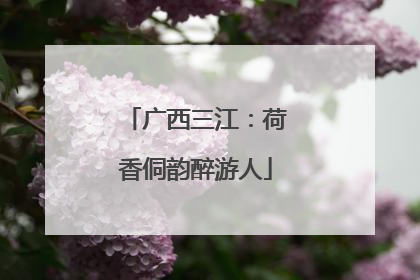 广西三江：荷香侗韵醉游人
