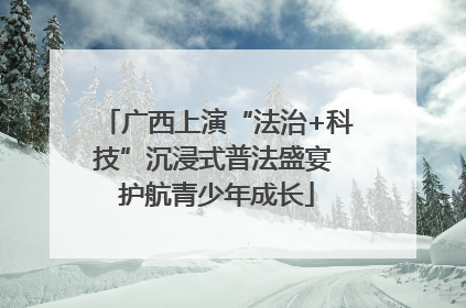 广西上演“法治+科技”沉浸式普法盛宴 护航青少年成长