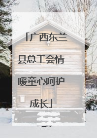 广西东兰县总工会情暖童心呵护成长