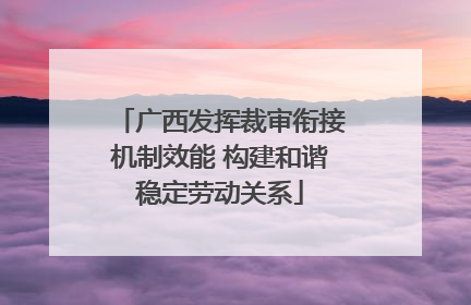 广西发挥裁审衔接机制效能 构建和谐稳定劳动关系