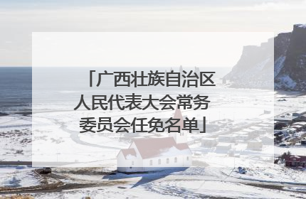 广西壮族自治区人民代表大会常务委员会任免名单