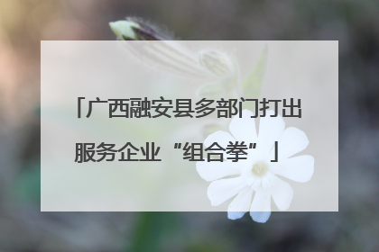 广西融安县多部门打出服务企业“组合拳”