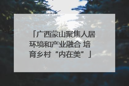 广西蒙山聚焦人居环境和产业融合 培育乡村“内在美”