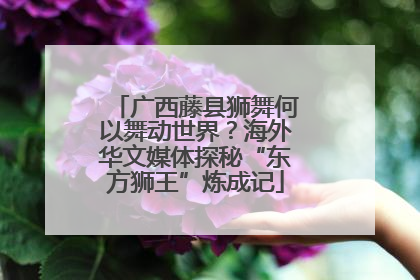 广西藤县狮舞何以舞动世界？海外华文媒体探秘“东方狮王”炼成记