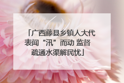 广西藤县乡镇人大代表闻“汛”而动 监督疏通水渠解民忧
