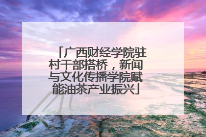 广西财经学院驻村干部搭桥，新闻与文化传播学院赋能油茶产业振兴