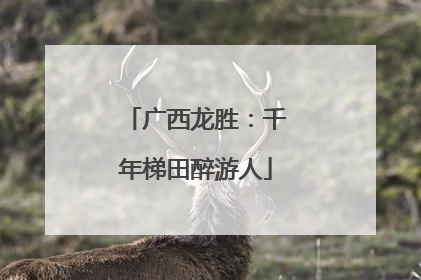 广西龙胜：千年梯田醉游人