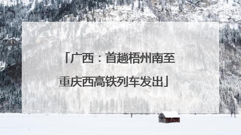 广西：首趟梧州南至重庆西高铁列车发出