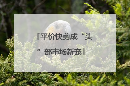 平价快剪成“头”部市场新宠