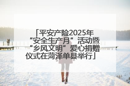 平安产险2025年“安全生产月”活动暨“乡风文明”爱心捐赠仪式在菏泽单县举行
