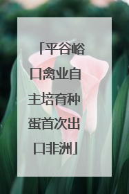 平谷峪口禽业自主培育种蛋首次出口非洲