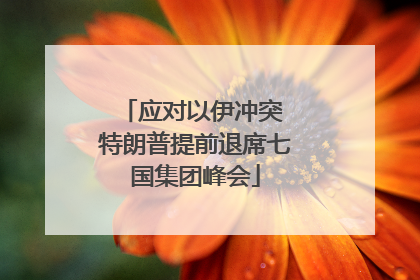 应对以伊冲突 特朗普提前退席七国集团峰会