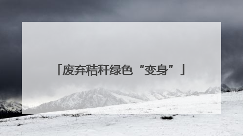 废弃秸秆绿色“变身”