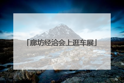 廊坊经洽会上逛车展