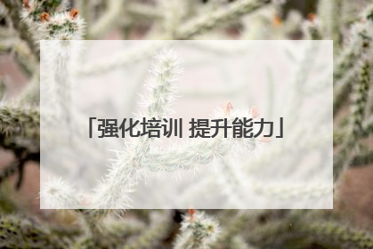强化培训 提升能力