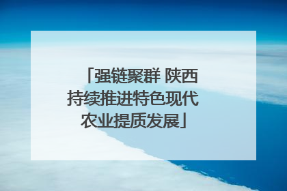 强链聚群 陕西持续推进特色现代农业提质发展