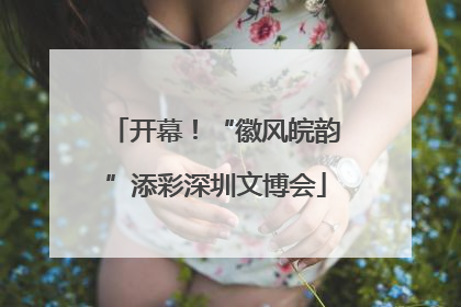 开幕！“徽风皖韵”添彩深圳文博会