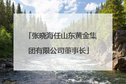 张晓海任山东黄金集团有限公司董事长