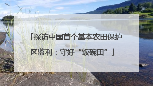 探访中国首个基本农田保护区监利：守好“饭碗田”