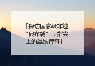 探访国家级非遗“夏布绣”：指尖上的丝线传奇