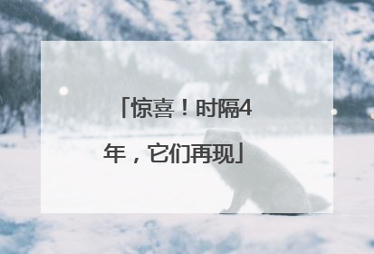 惊喜！时隔4年，它们再现