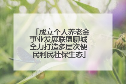 成立个人养老金事业发展联盟聊城全力打造多层次便民利民社保生态