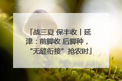 战三夏 保丰收丨延津：前脚收 后脚种，“无缝衔接”抢农时