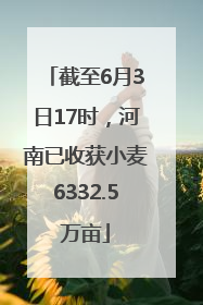 截至6月3日17时，河南已收获小麦6332.5万亩