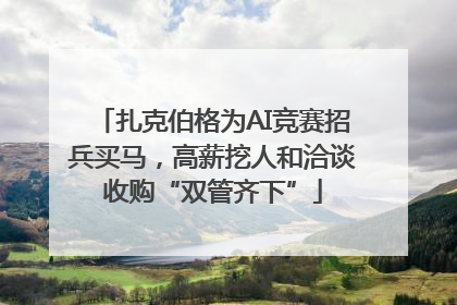 扎克伯格为AI竞赛招兵买马，高薪挖人和洽谈收购“双管齐下”