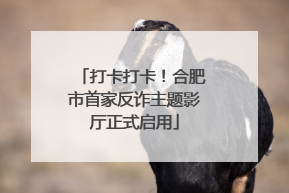 打卡打卡！合肥市首家反诈主题影厅正式启用