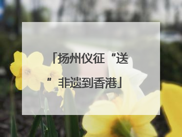 扬州仪征“送”非遗到香港